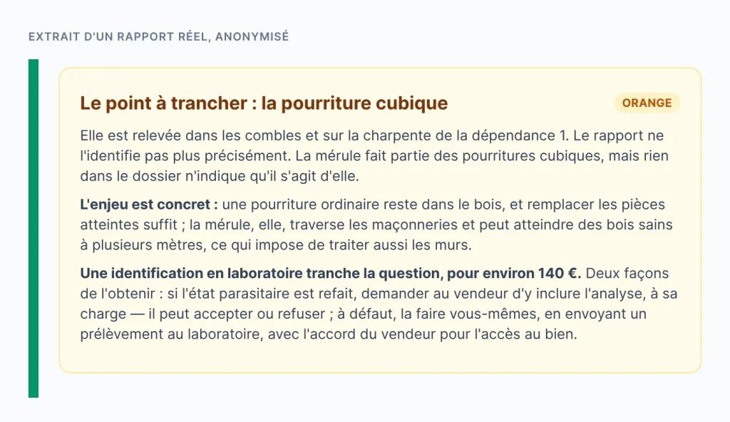 Extrait de rapport : une pourriture cubique relevée dans les combles, ce qui la distingue de la mérule et comment la faire identifier en laboratoire