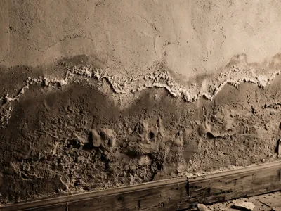 Bas d'un mur ancien humide : enduit sombre qui s'effrite, ligne de salpêtre blanc et plinthe abîmée